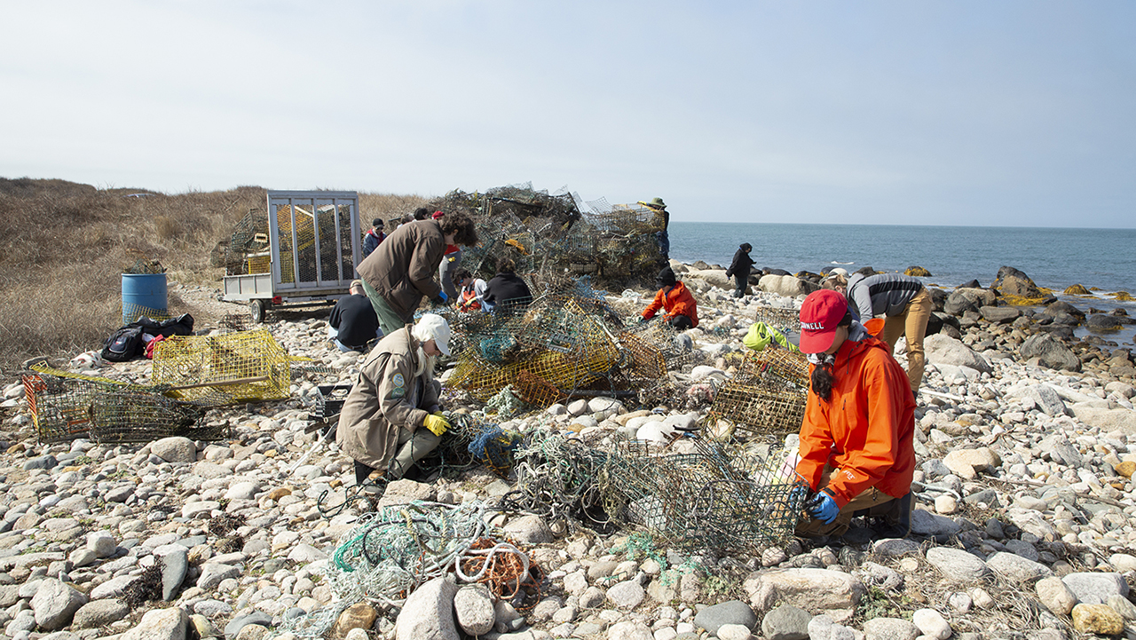 One recent Engaged Opportunity Grant project will support shore clean-up efforts in Massachusetts. Photo by Sarah J. Thornington